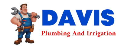 Trusted plumber in NEW DOUGLAS